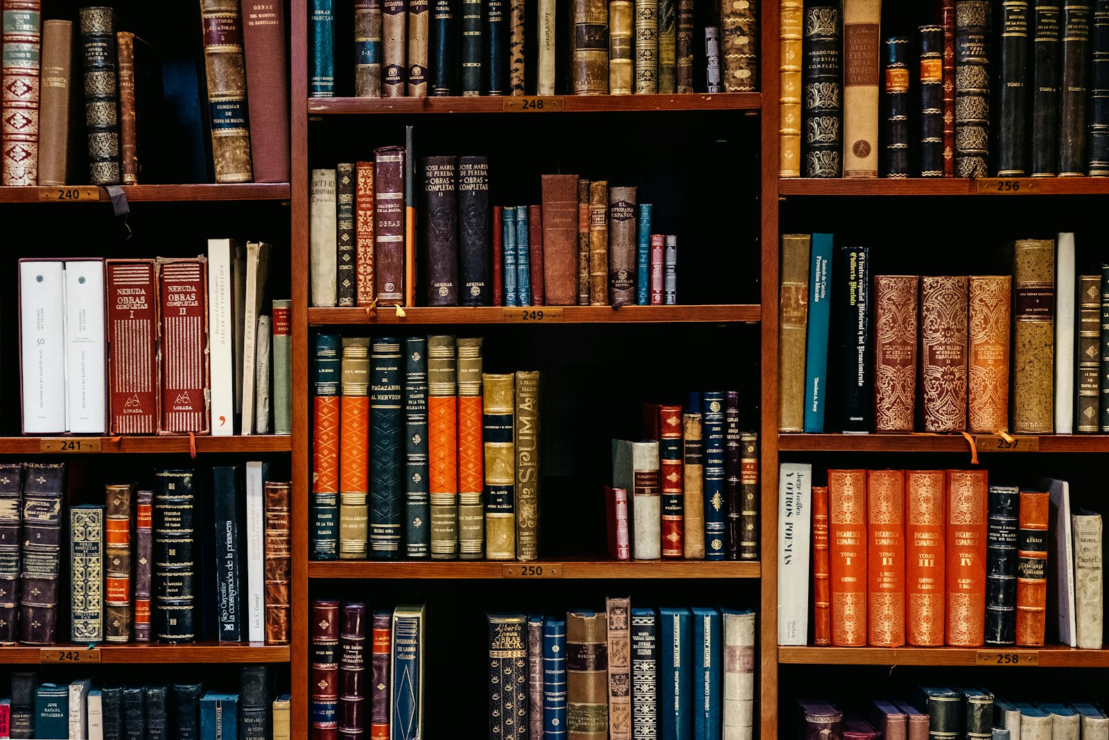 The infinate library
